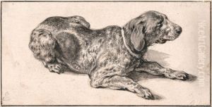 Reclining Dog by Aelbert Cuyp