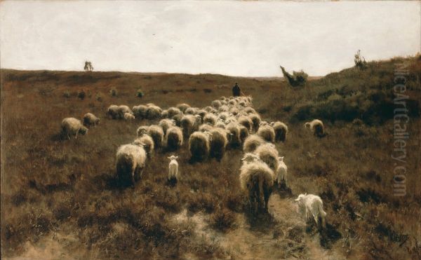 The Return of the Flock, Laren - view 1