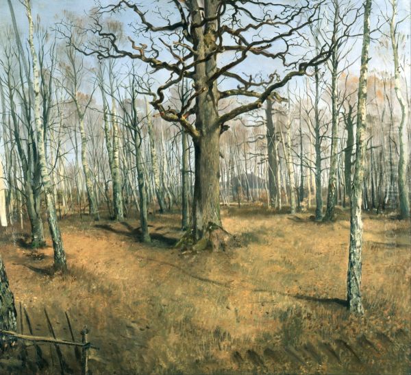 Wermsdorf Forest - view 1