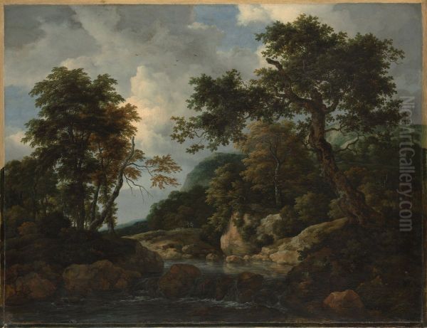 The Forest Stream - view 1