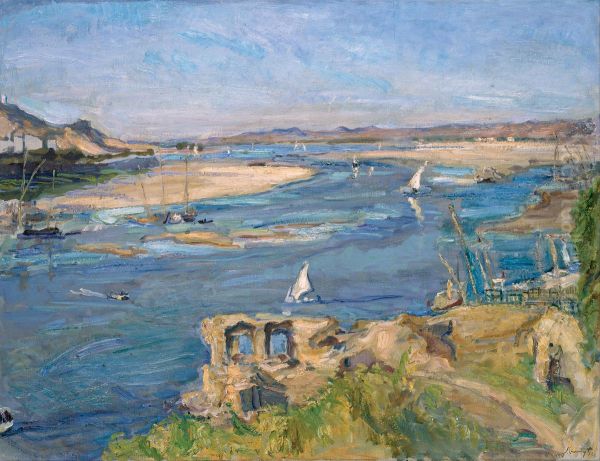 The Nile near Aswan - view 1