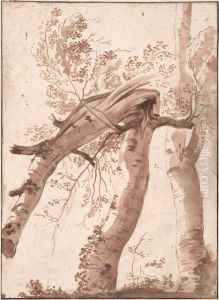 Two Silver Birches, the Front One Fallen