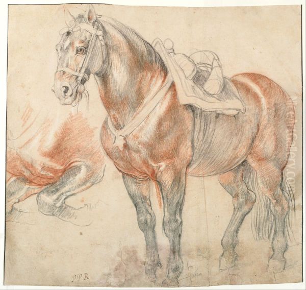 Saddled Horse, c. 1615-1618 - view 1