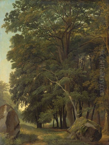 A Wooded Landscape - view 1