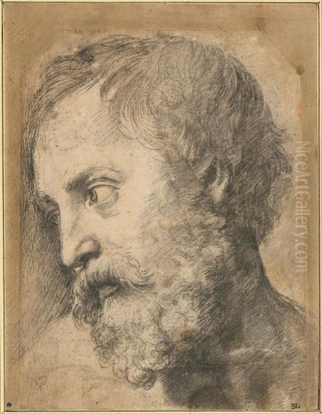 Head of An Apostle in the Transfiguration - view 1