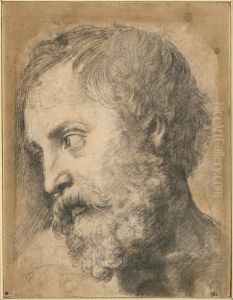 Head of An Apostle in the Transfiguration by Raphael