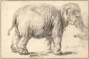 An Elephant by Rembrandt