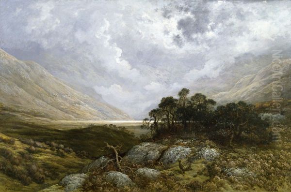 Landscape in Scotland - view 1