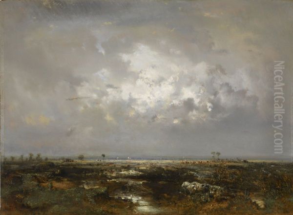 A Swamp in the Landes - view 1