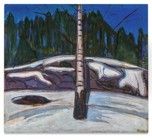 Bjork i sno (Birch in Snow) - view 1
