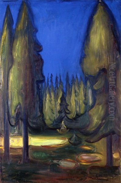 Dark Spruce Forest - view 1