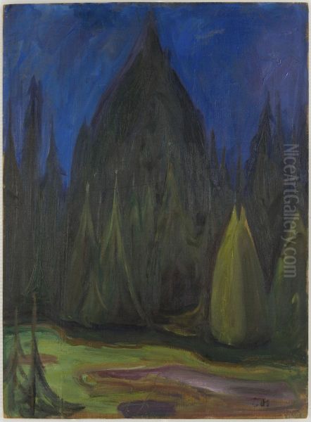 Dark Spruce Forest - view 1