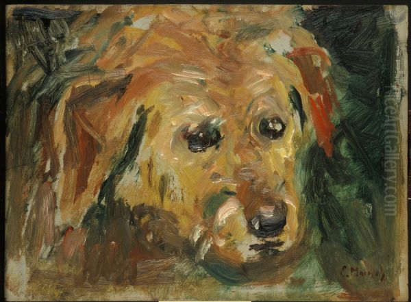 Dog's Face - view 1