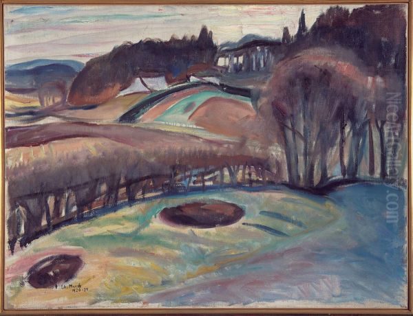 Fields in Springtime - view 1
