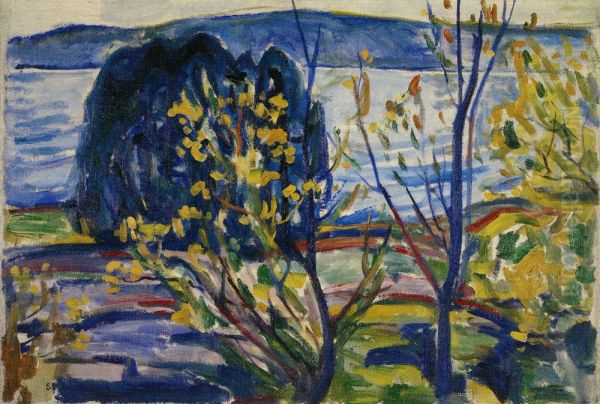 Fjord Landscape - view 1