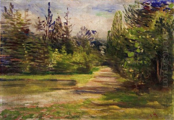 Forest Landscape - view 1