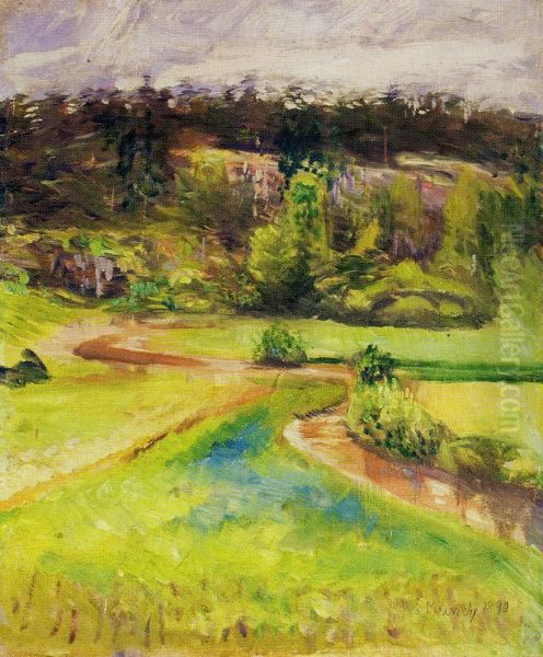 Landscape - view 1