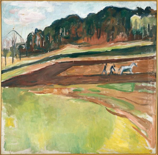 Ploughed Field - view 1