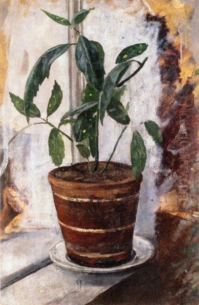 Potted Plant on the Window-Sill - view 1