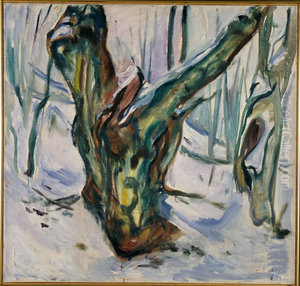 Rugged Trunk in Snow Rugged Trunk in Snow