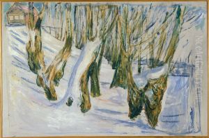 Rugged Trunks in Snow Rugged Trunks in Snow