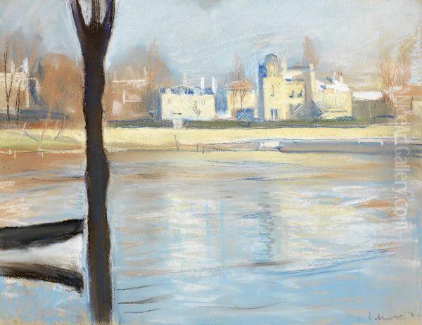The Seine at Saint-Cloud - view 1