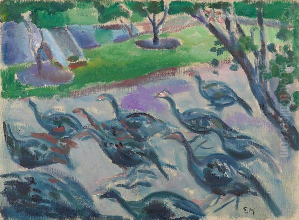 Turkeys - view 1