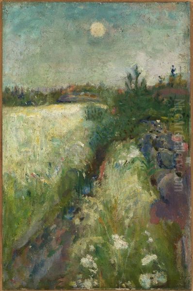 Flowery Meadow at Veierland - view 1