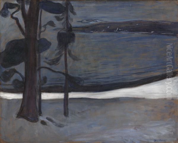 Winter at Nordstrand - view 1