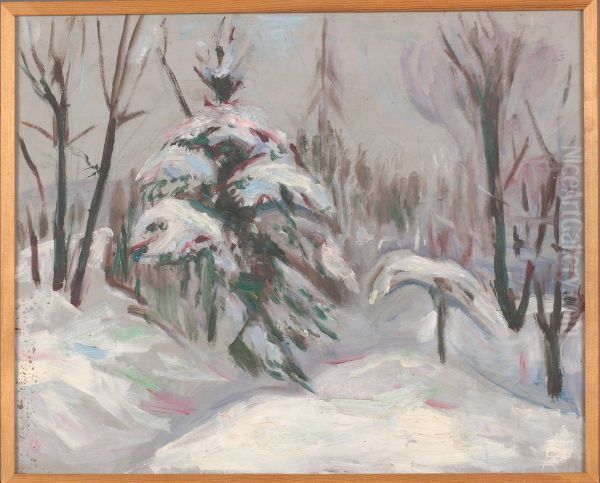Winter Forest - view 1