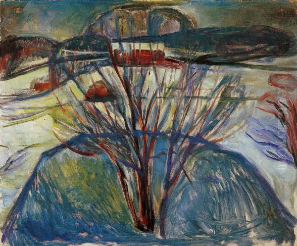 Winter Night - view 1