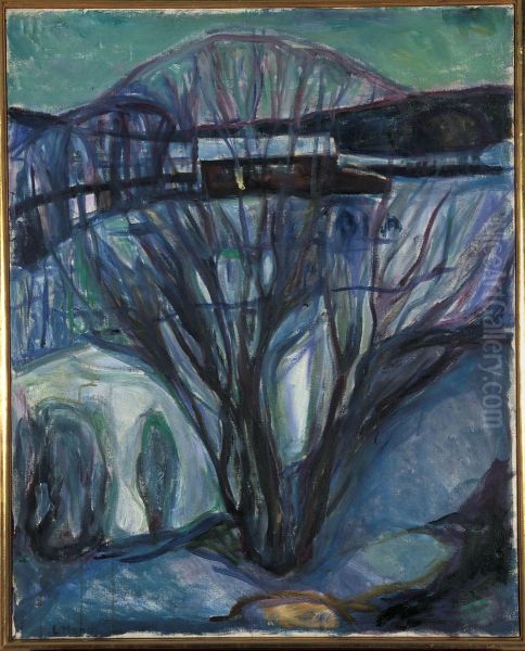 Winter Night - view 1