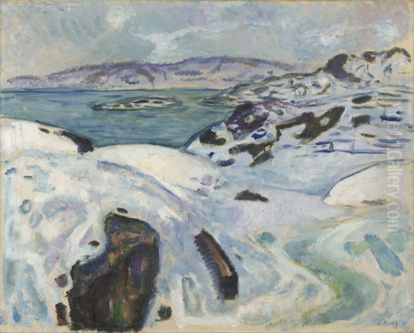 Winter on the Fiord - view 1