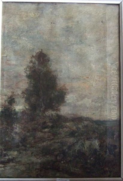 Paysage - view 1