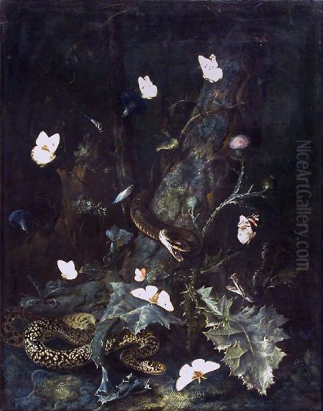 Snakes and butterflies - view 1