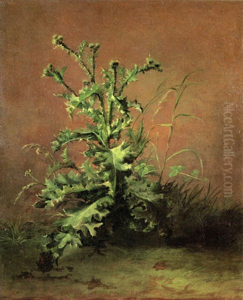 Thistles - view 1
