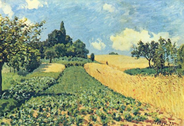 Grain fields on the hills of Argenteuil - view 1