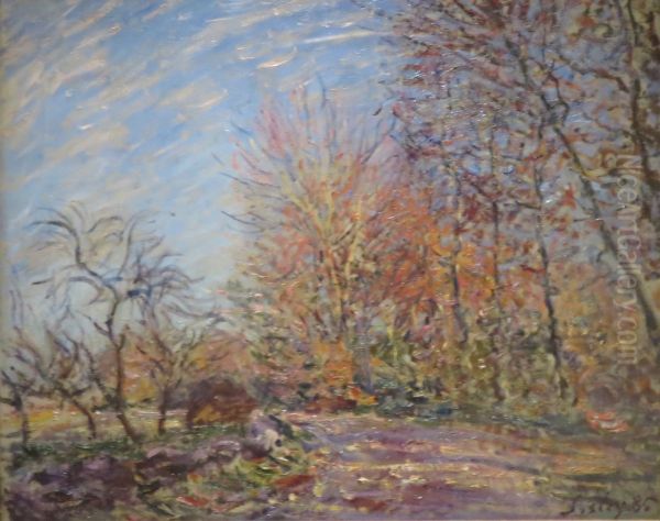 The Outskirts of the Fontainebleau Forest - view 1
