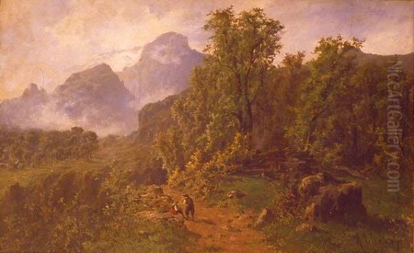Landscape of the Pyrenees - view 1
