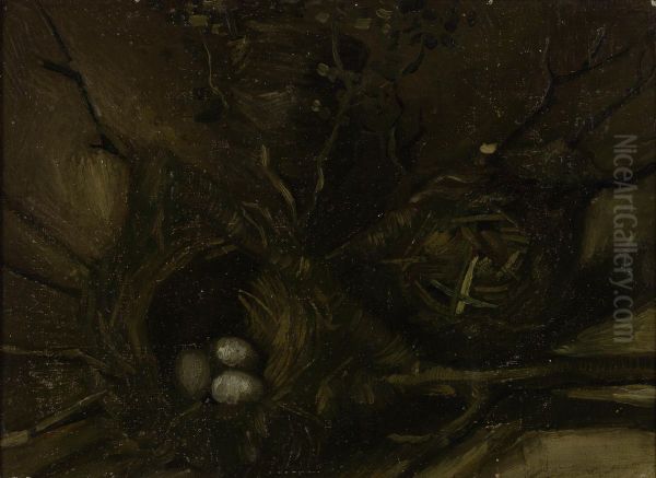 Vogelnesten - view 1