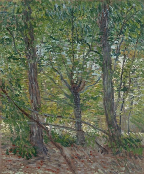 Trees - view 1
