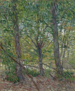 Trees
