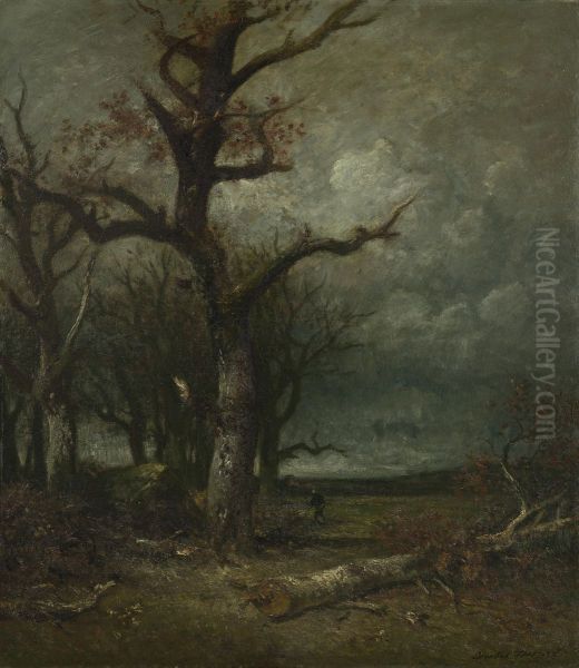 Herfst - view 1