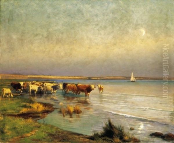 Cows by the Lake Balaton - view 1