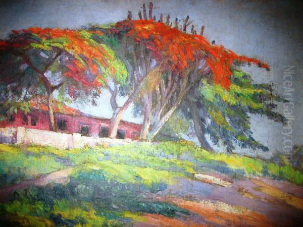 Flamboyants - view 1