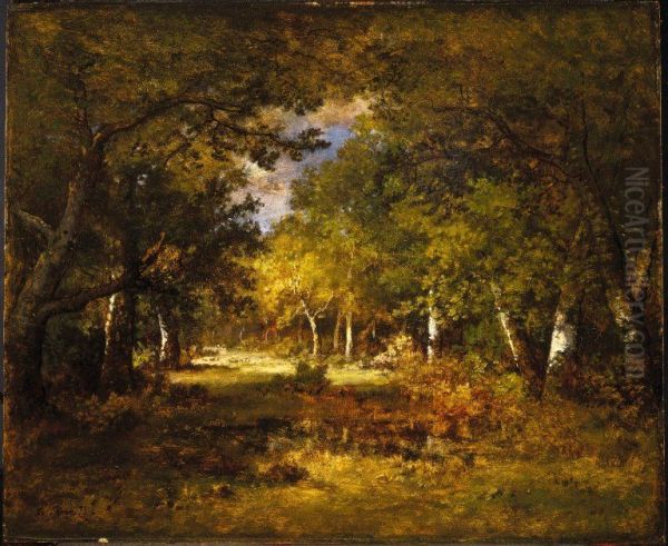 Forest Scene - view 1