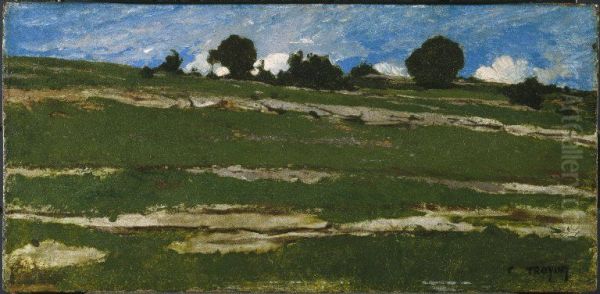 Hillside with Rocky Outcrops - view 1