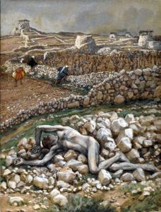 The Son of the Vineyard