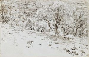 Oliviers, vallee de Hinon