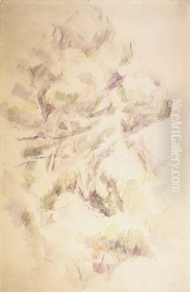 Study of Trees and Rocks; Study of Trees (verso) - view 1